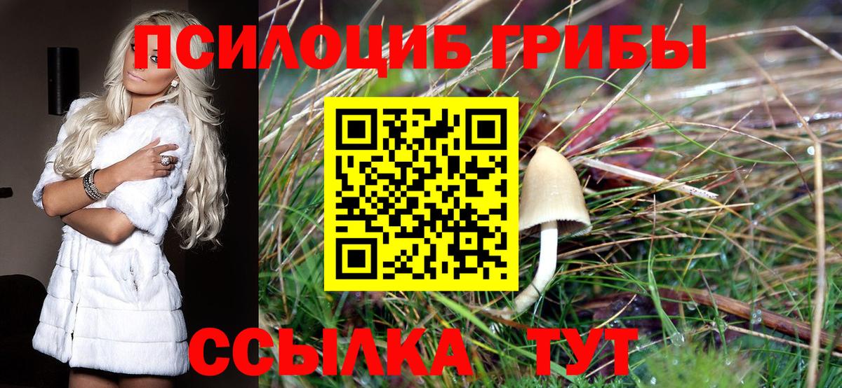 Псилоцибиновые грибы Magic Shrooms  Вход с VPN  Галлюциногенные грибы Psilocybe  Волоколамск 