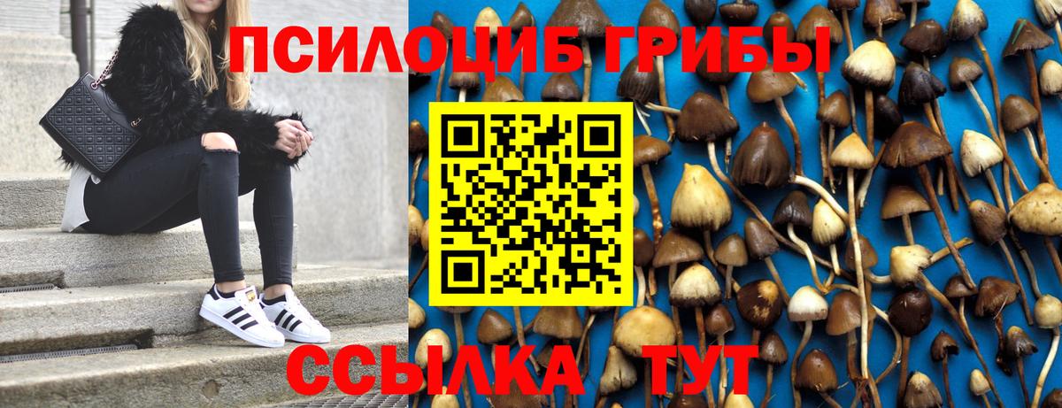 Псилоцибиновые грибы GOLDEN TEACHER Волоколамск